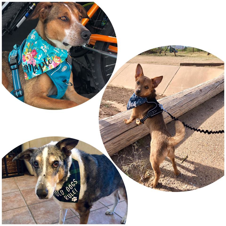 Readers pet photos